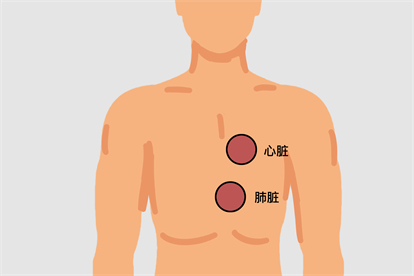 胸部拔罐去肺火的位置图