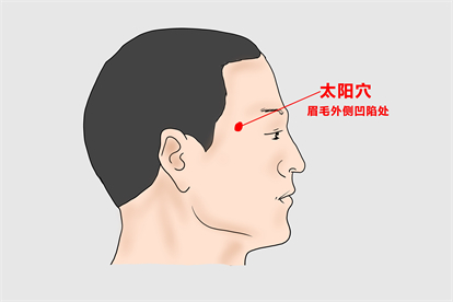 太阳穴图