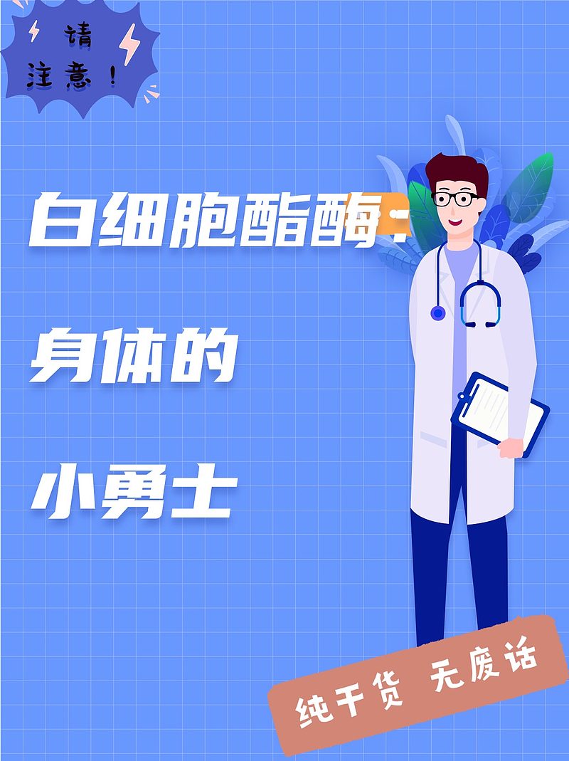 白细胞酯酶:身体的小勇士