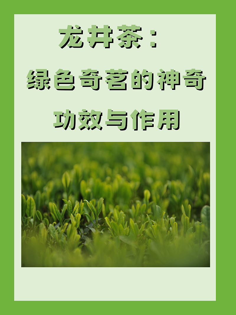 龙井茶：绿色奇茗的神奇功效与作用