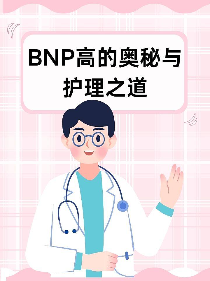 BNP高的奥秘与护理之道