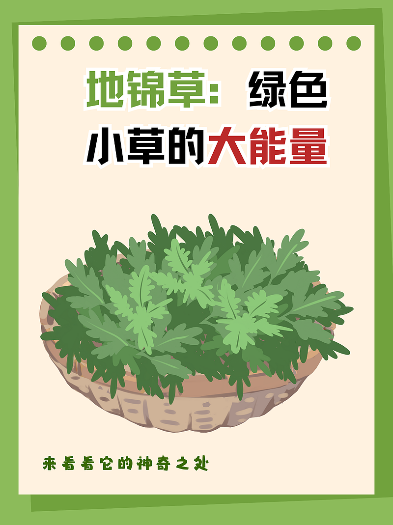 地锦草：绿色小草的大能量