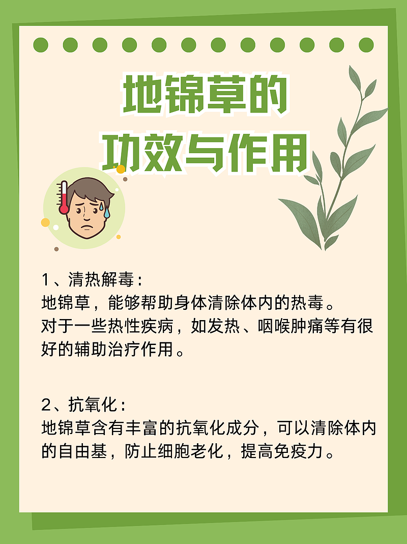 地锦草：绿色小草的大能量