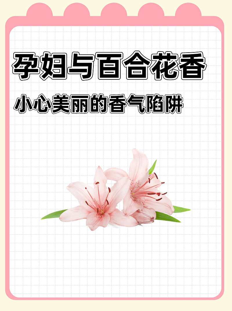 孕妇与百合花香：小心美丽的香气陷阱