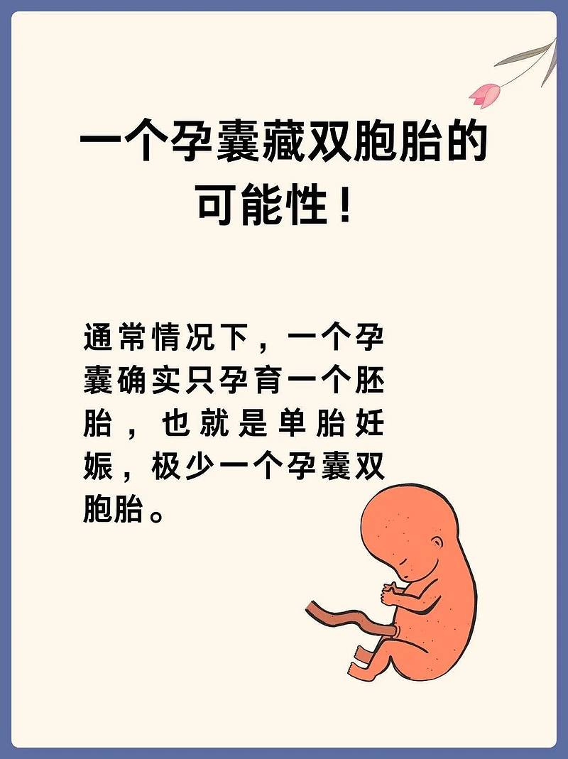 一个孕囊藏双胞胎秘密？揭秘可能性！