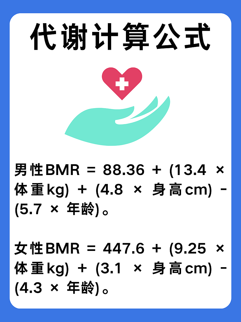 代谢率计算公式揭秘：轻松掌握个人能量消耗