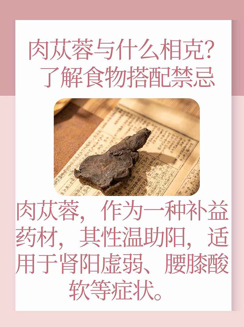 肉苁蓉与什么相克？了解食物搭配禁忌