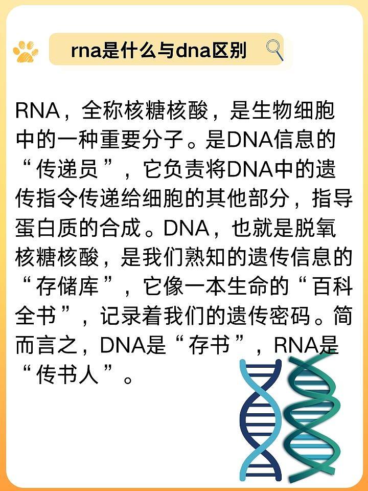 朋友核酸检测记：RNA与DNA的奥秘与护理小贴士