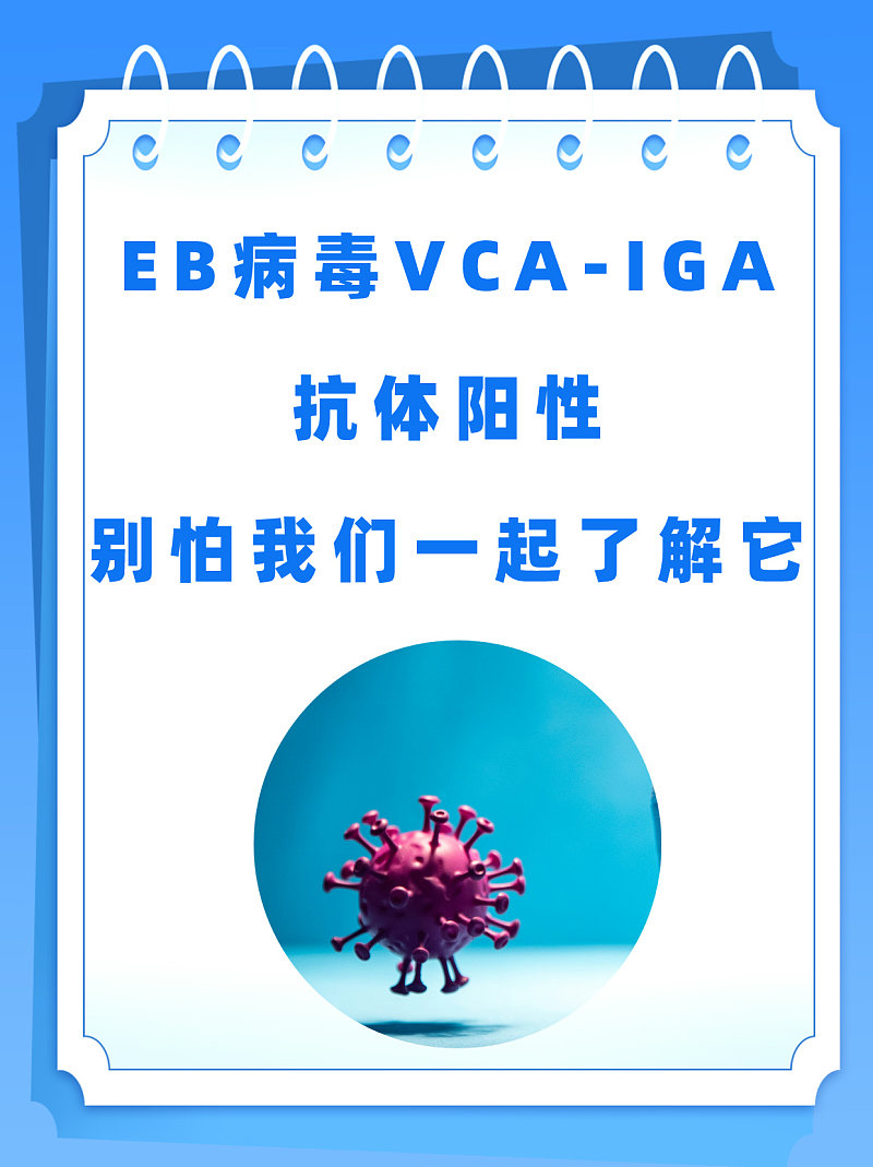 EB病毒VCA-IGA抗体阳性？别怕，我们一起了解它！