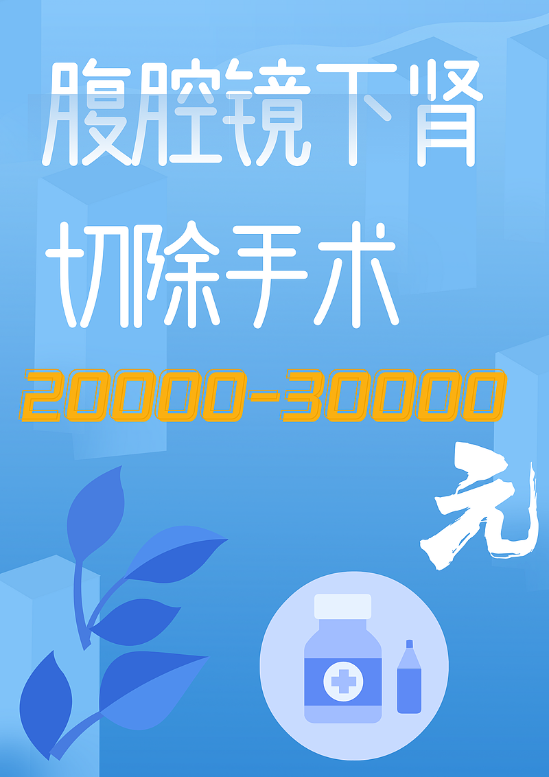 肾切除手术需要多少