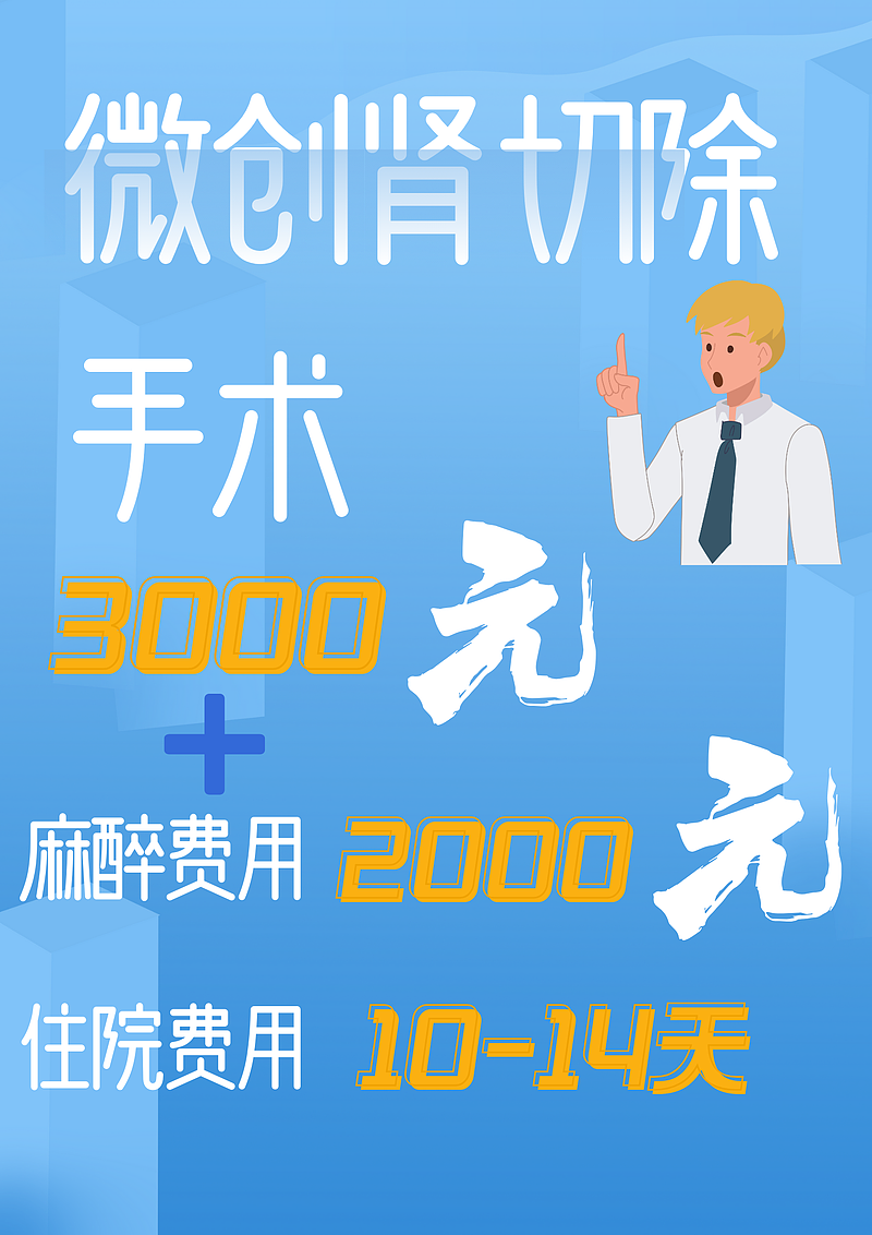 肾切除手术需要多少
