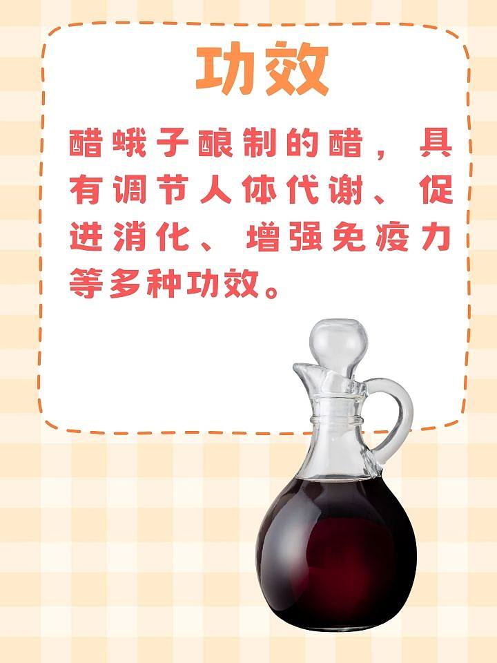 醋蛾子的神奇功效，你了解吗？