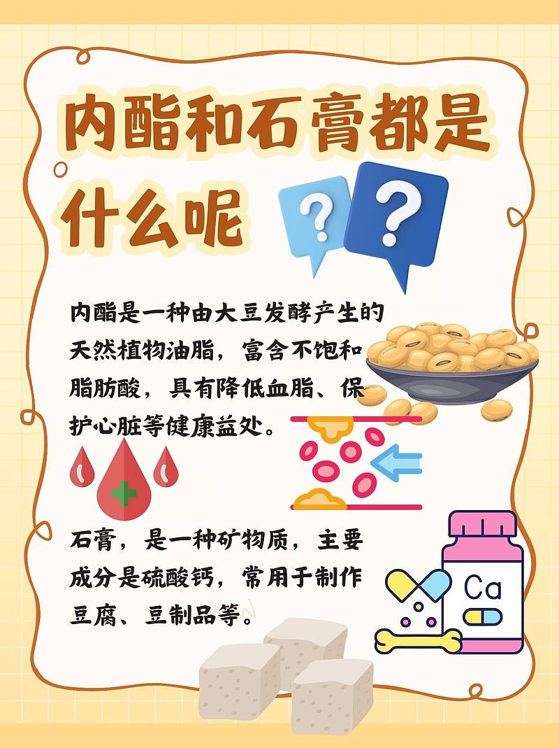 内酯和石膏：健康之选，你选对了吗？