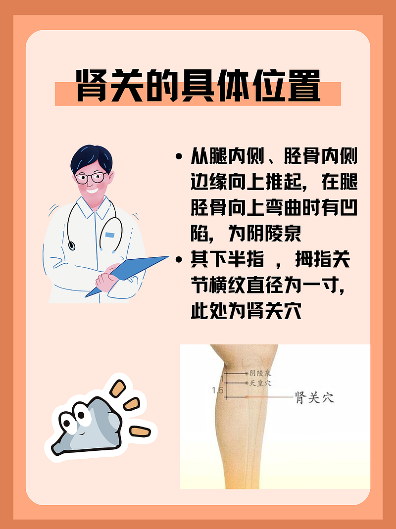 探寻肾脏的“神秘之门”—肾关