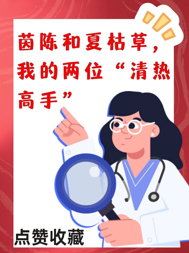 茵陈和夏枯草，我的两位“清热高手”