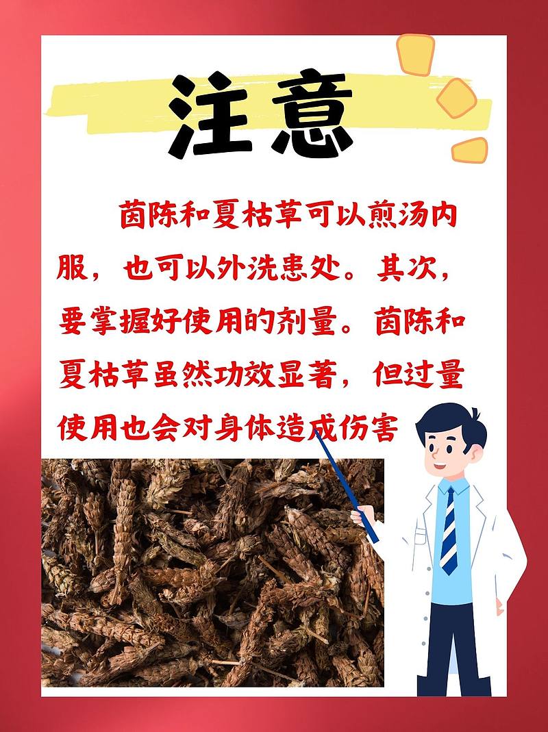 茵陈和夏枯草，我的两位“清热高手”