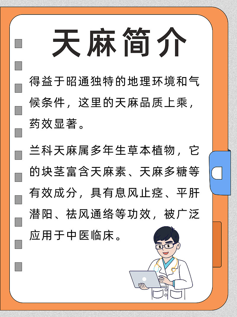 昭通天麻，健康守护神来啦！