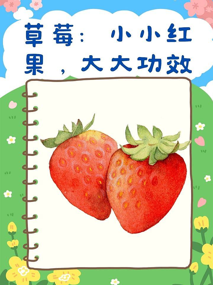 草莓：小小红果，大大功效