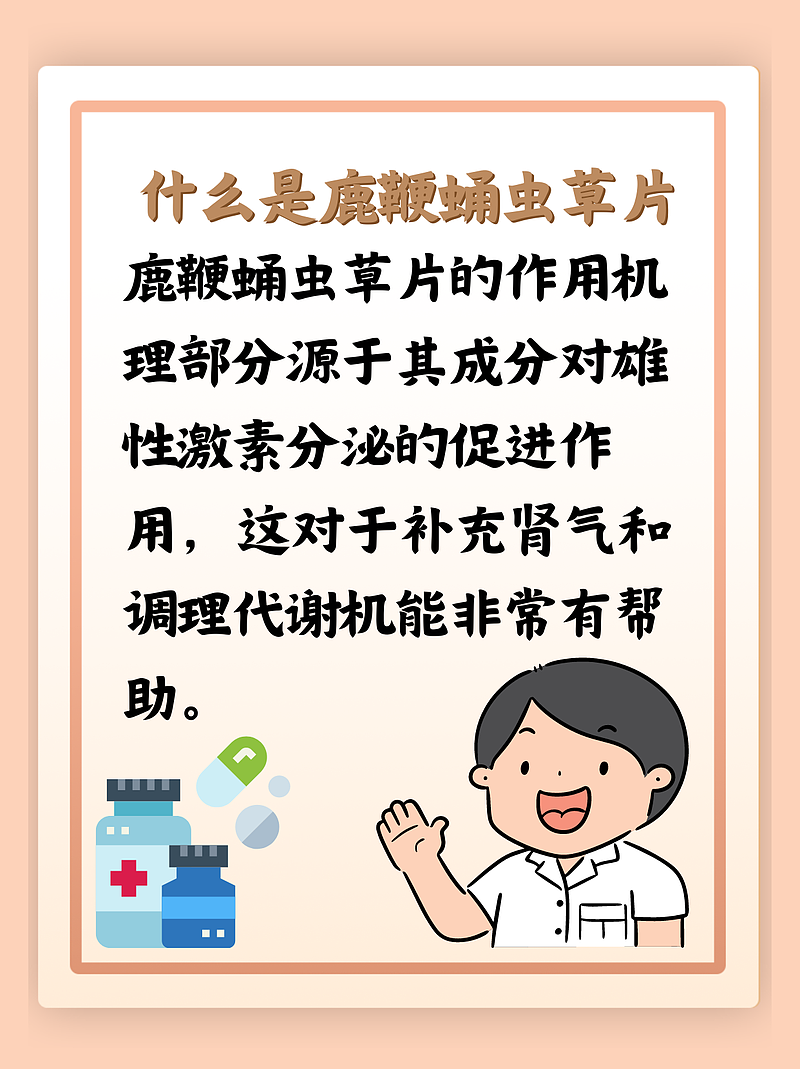 “鹿鞭蛹虫草片：多效合一的中药补品”