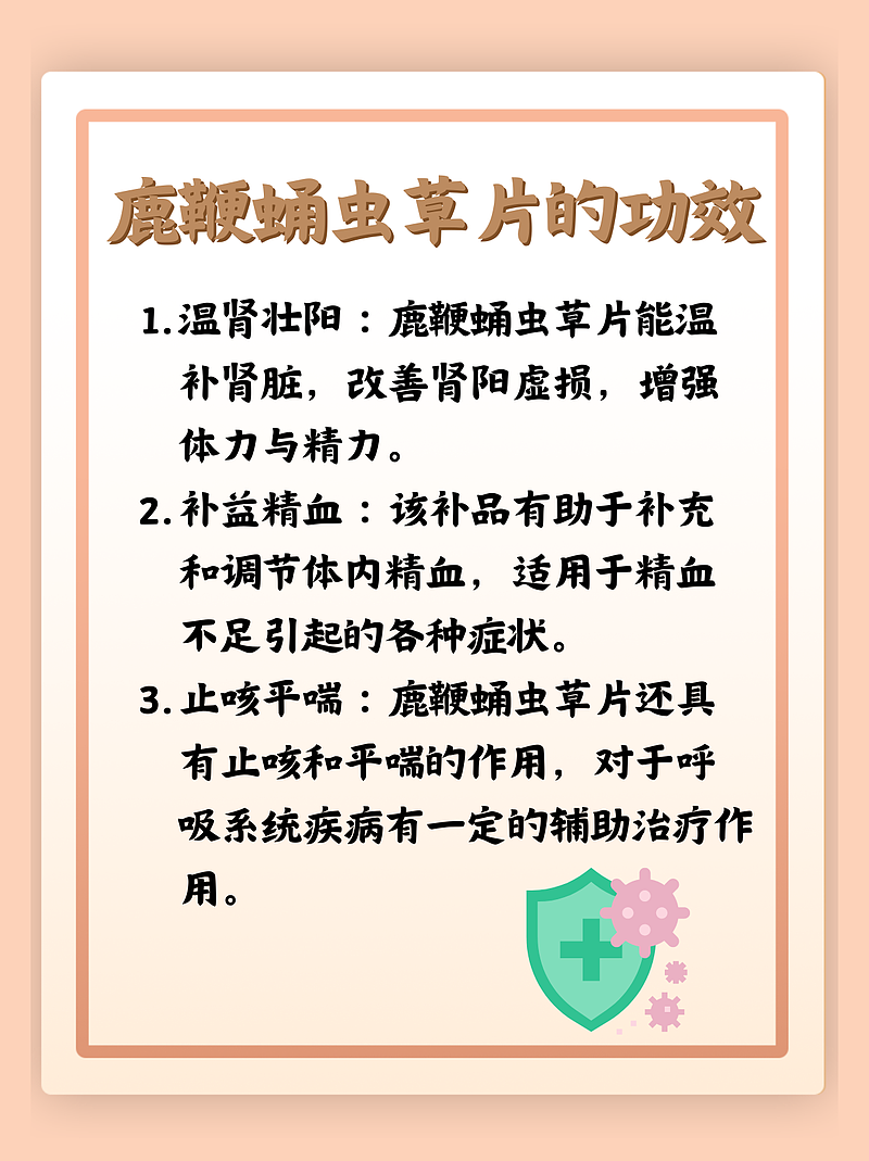 “鹿鞭蛹虫草片：多效合一的中药补品”