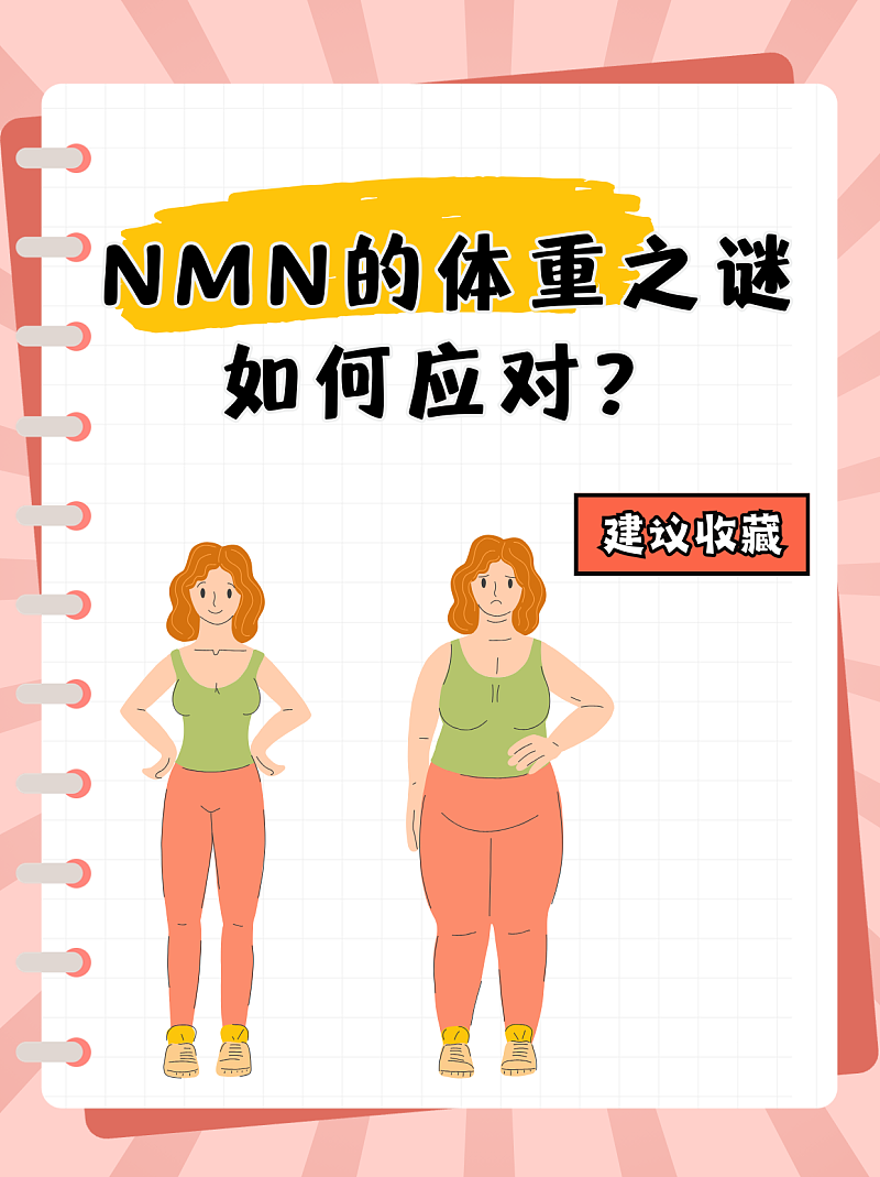 NMN的体重之谜