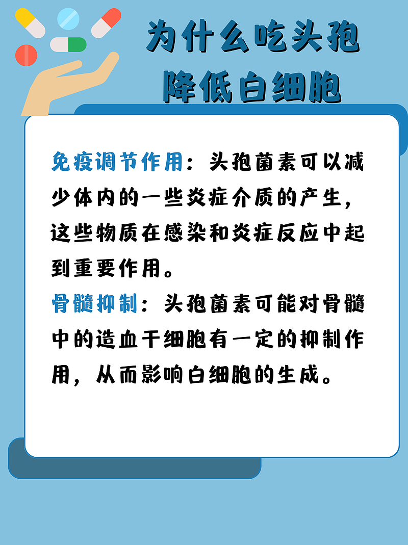 吃头孢后白细胞降低？别怕，我告诉你怎么办！