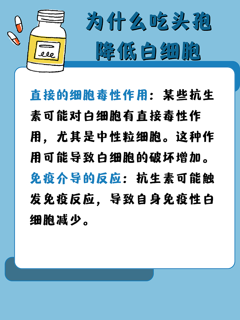 吃头孢后白细胞降低？别怕，我告诉你怎么办！