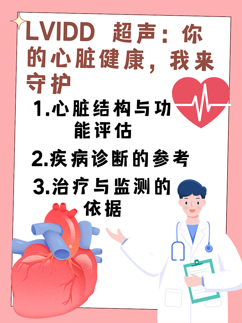 LVIDD 超声：你的心脏健康，我来守护