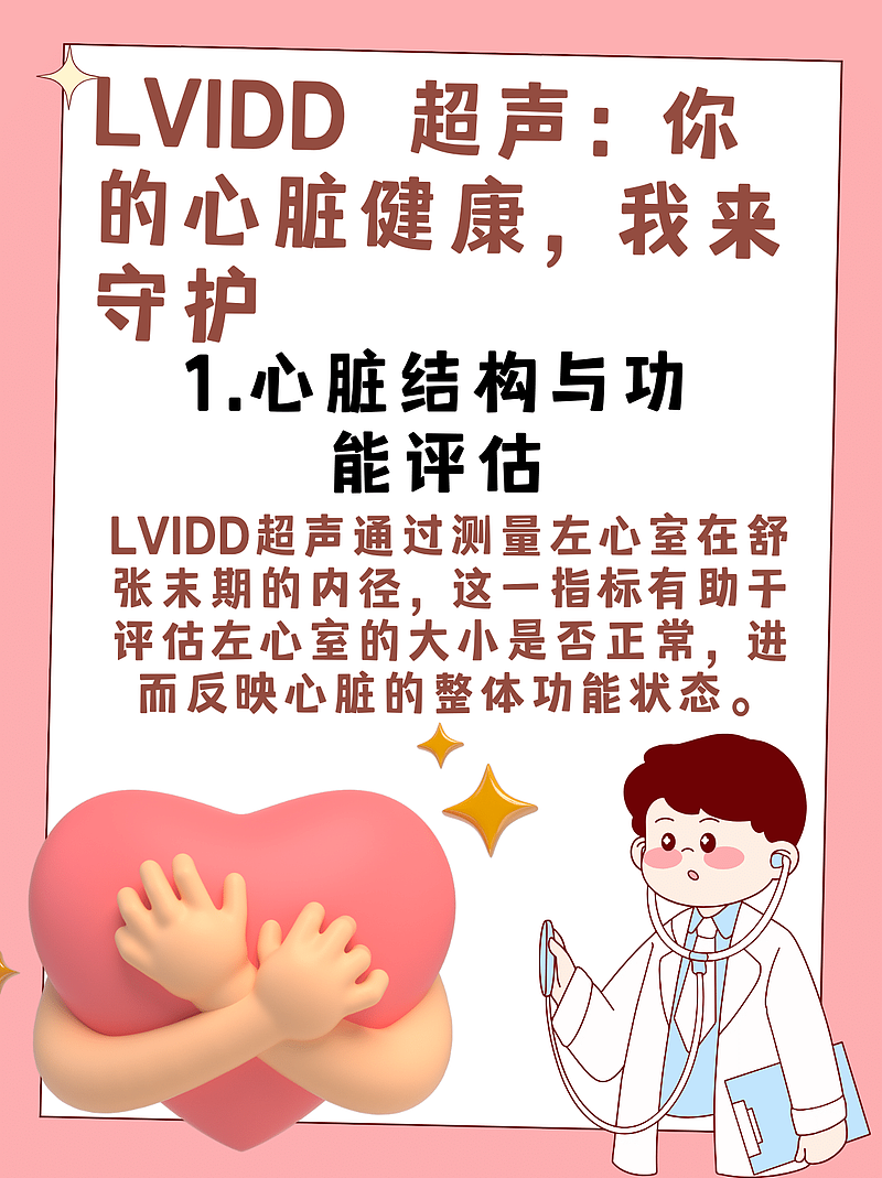 LVIDD 超声：你的心脏健康，我来守护
