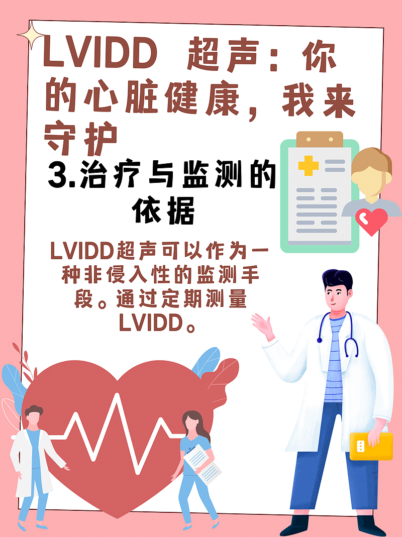 LVIDD 超声：你的心脏健康，我来守护