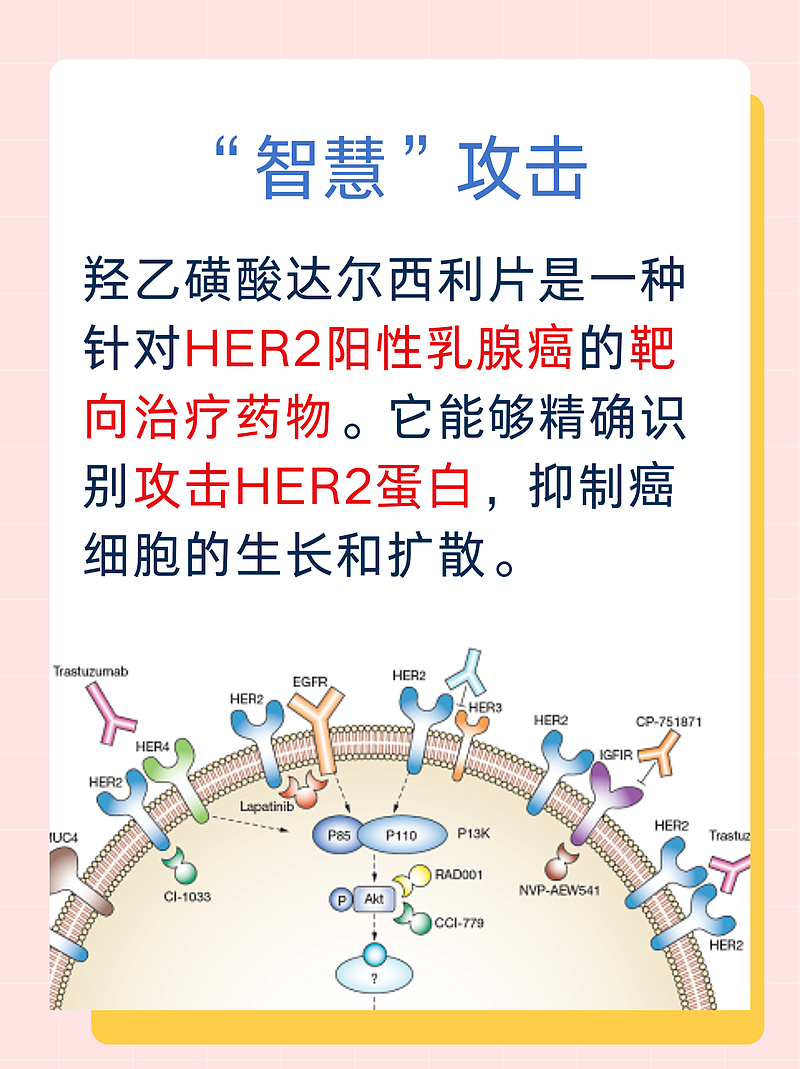 《达尔西利片：与乳腺癌患者的“智慧”战斗》