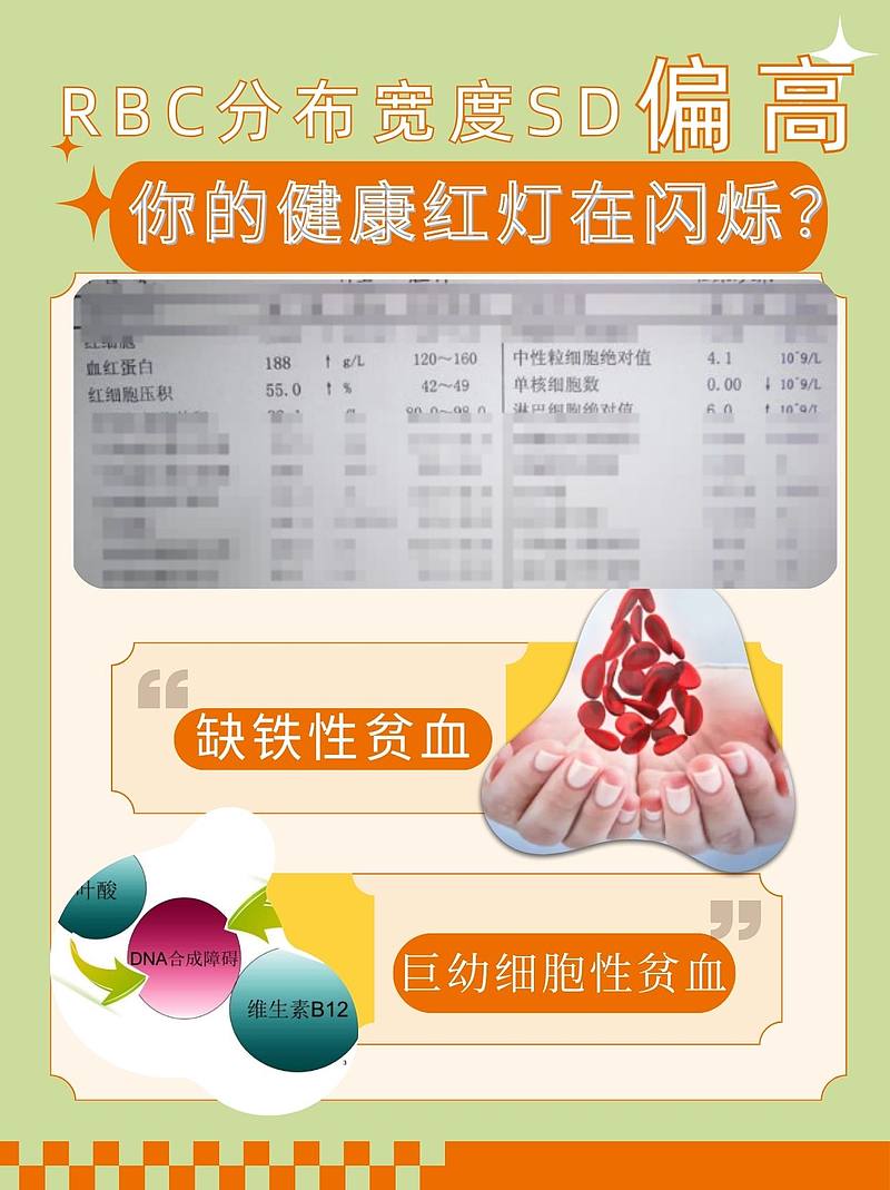 RBC分布宽度SD偏高，注意了！
